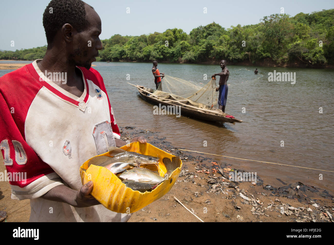 Village Baro, Guinée, 1er mai 2015 : les pêcheurs attraper des poissons dans leur filet. Ce temps est généralement bon pour la pêche, car le niveau de la rivière est faible. Banque D'Images