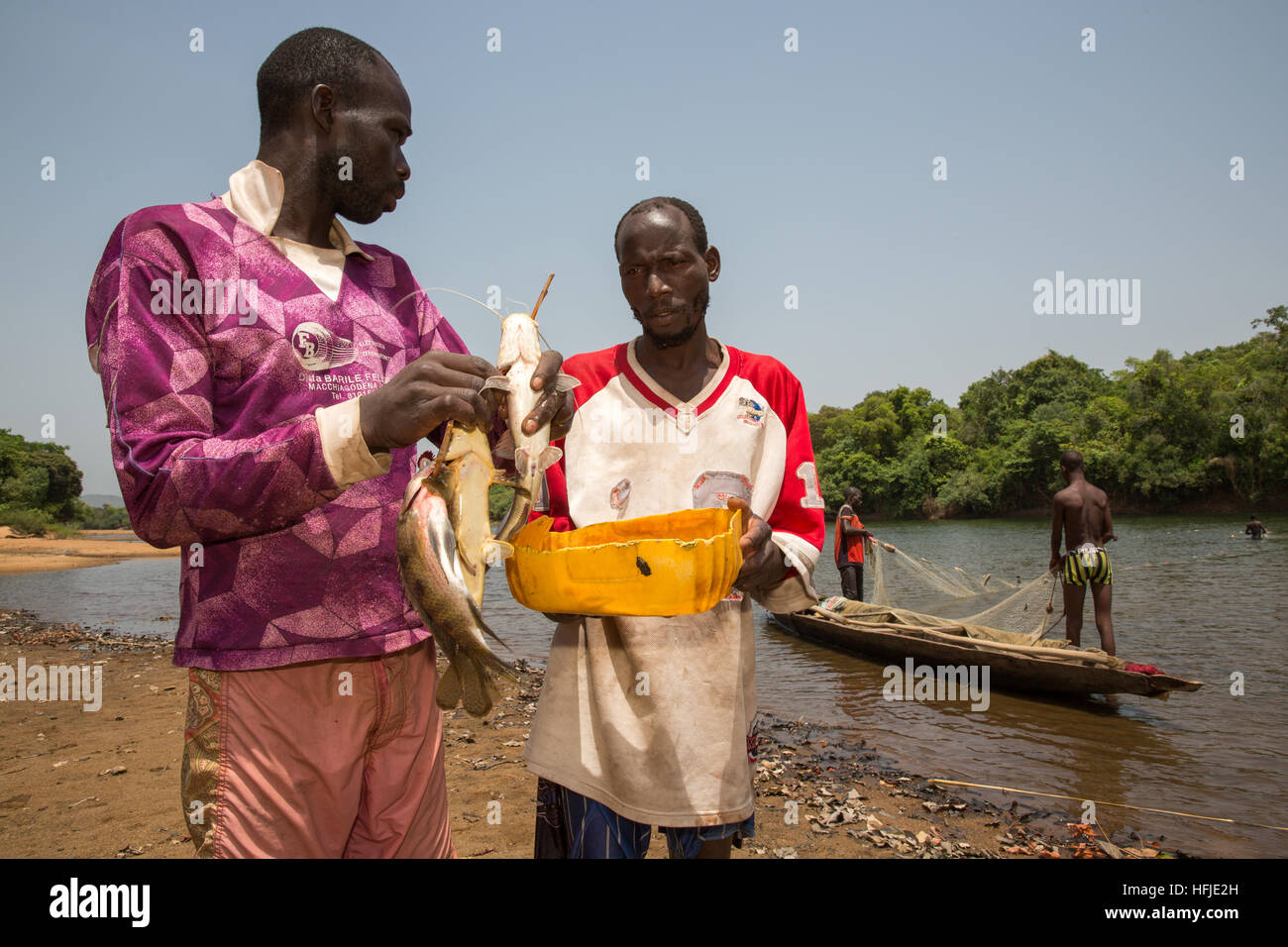 Village Baro, Guinée, 1er mai 2015 : les pêcheurs attraper des poissons dans leur filet. Ce temps est généralement bon pour la pêche, car le niveau de la rivière est faible. Banque D'Images