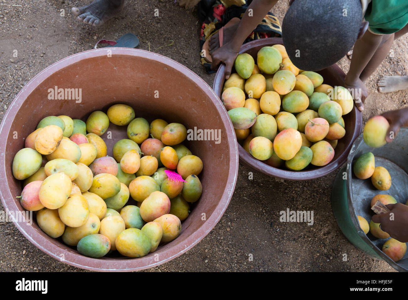 Village Baro, Guinée, 1er mai 2015 ; ' Nous achetons les mangues à vendre à Kouroussa aujourd'hui mais nous avons l'habitude de voir les mines. L'exploitation minière est une bonne affaire." Banque D'Images