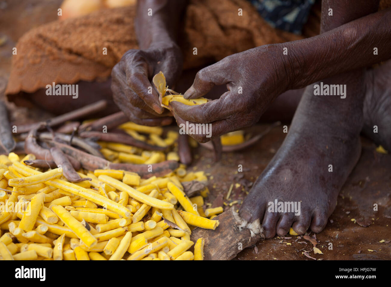 Koumban village, la Guinée. De caroubes