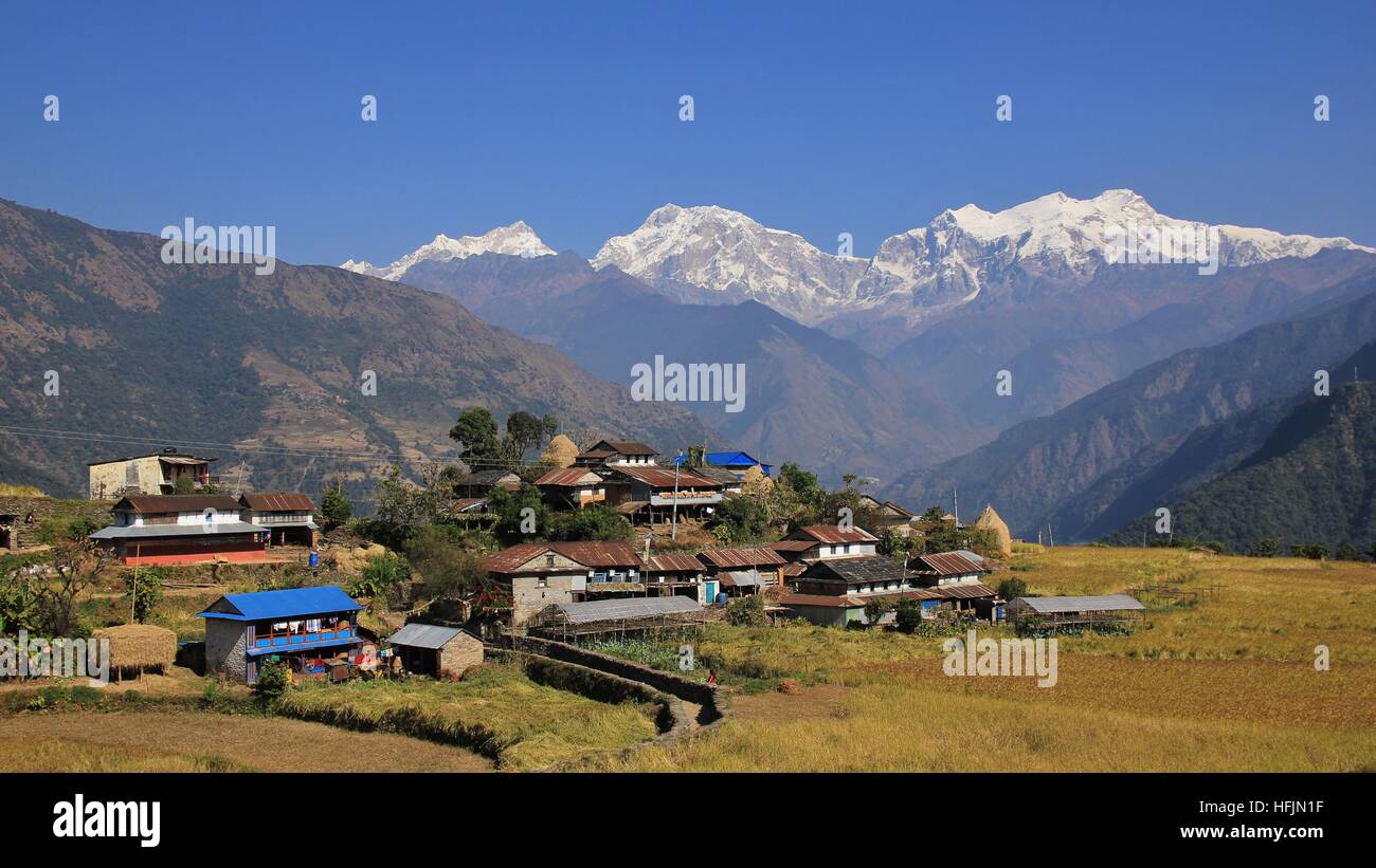 Sikle, village rural de la zone de conservation de l'Annapurna. Manaslu enneigés des montagnes et d'autres de la gamme Mansiri Himal. Banque D'Images