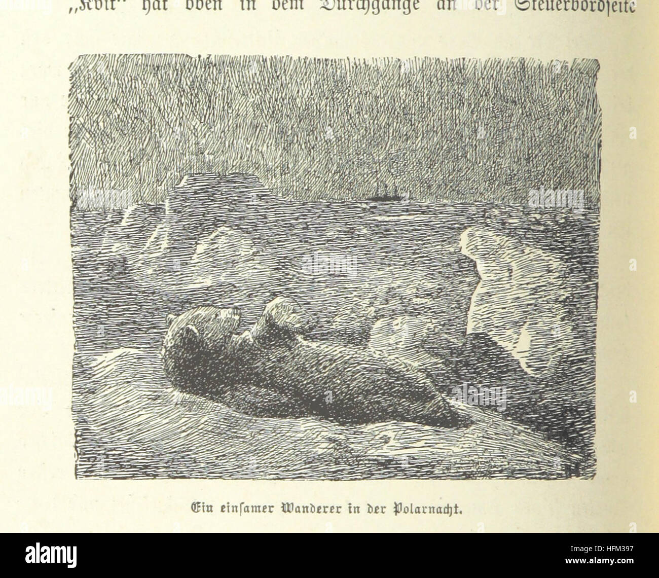 Dans Nacht und Eis. Die norwegische 1893-1896 Polarexpedition ... Mit einem Beitrag von Kapitän Sverdrup, etc. (Supplément. Wir Framleute. Von Bernhard Nordahl. Ich auf und Nansen 86° 14'. Von Hjalmar Johansen, etc.) Image prise à partir de la page 298 de 'In Nacht und Eis Banque D'Images