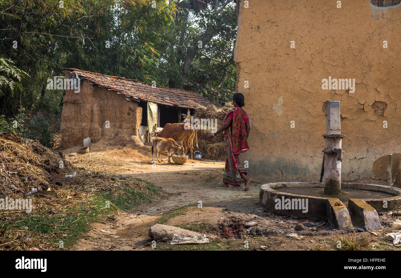 Scène de village rural indien avec de la boue des maisons, bétail, une femme tribal et un profond puits tubulaire à l'avant-plan. Banque D'Images