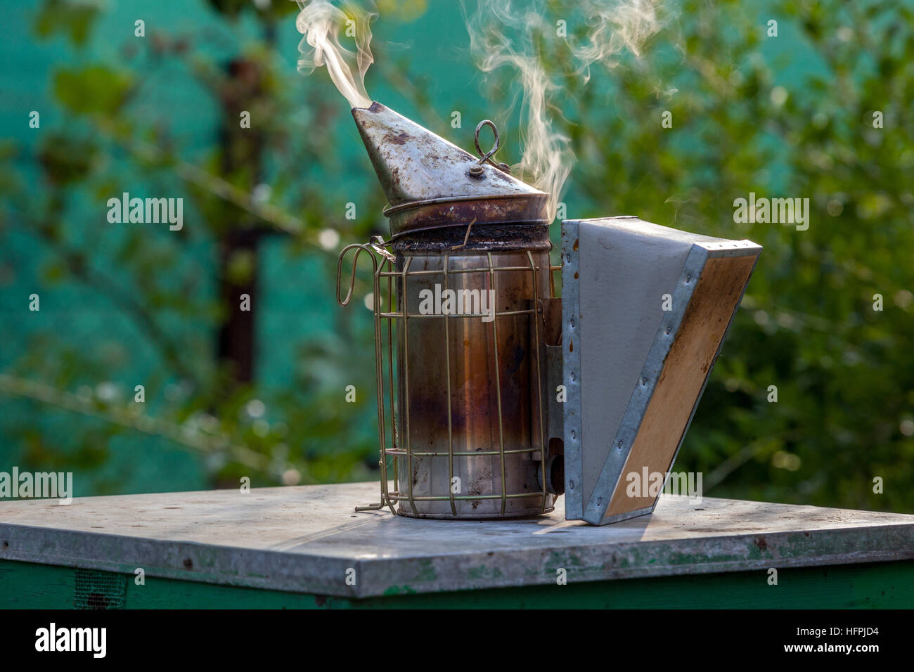 Le fumeur d'abeille sur une ruche, le fumeur d'apiculteur, l'outil d'apiculture, travaille à l'apiculture Banque D'Images