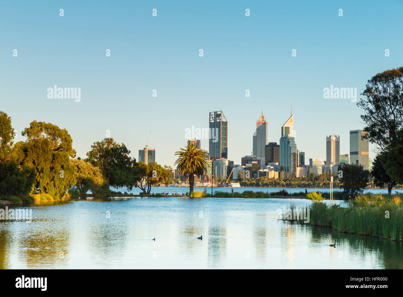 Vue sur St James Mitchell Park et le fleuve Swan à l'horizon de la ville à l'aube, Perth, Western Australia, Australia Banque D'Images