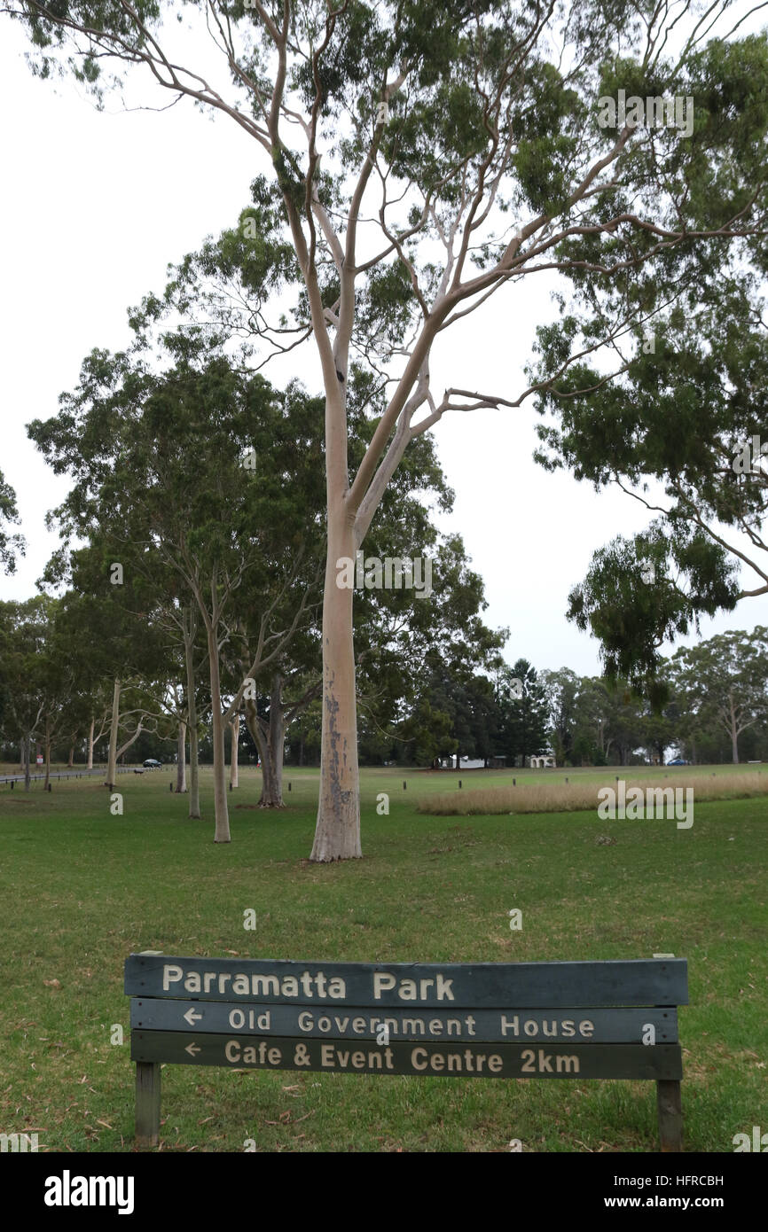 Parc de Parramatta. Banque D'Images