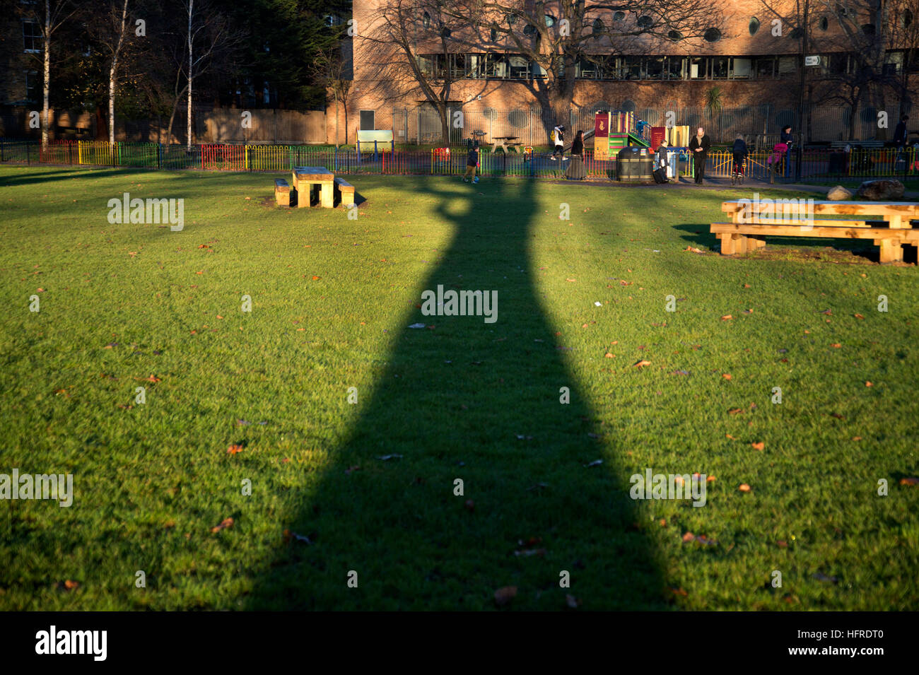 Hackney. Champs de Londres, l'ombre d'un arbre en fin d'après-midi la lumière Banque D'Images