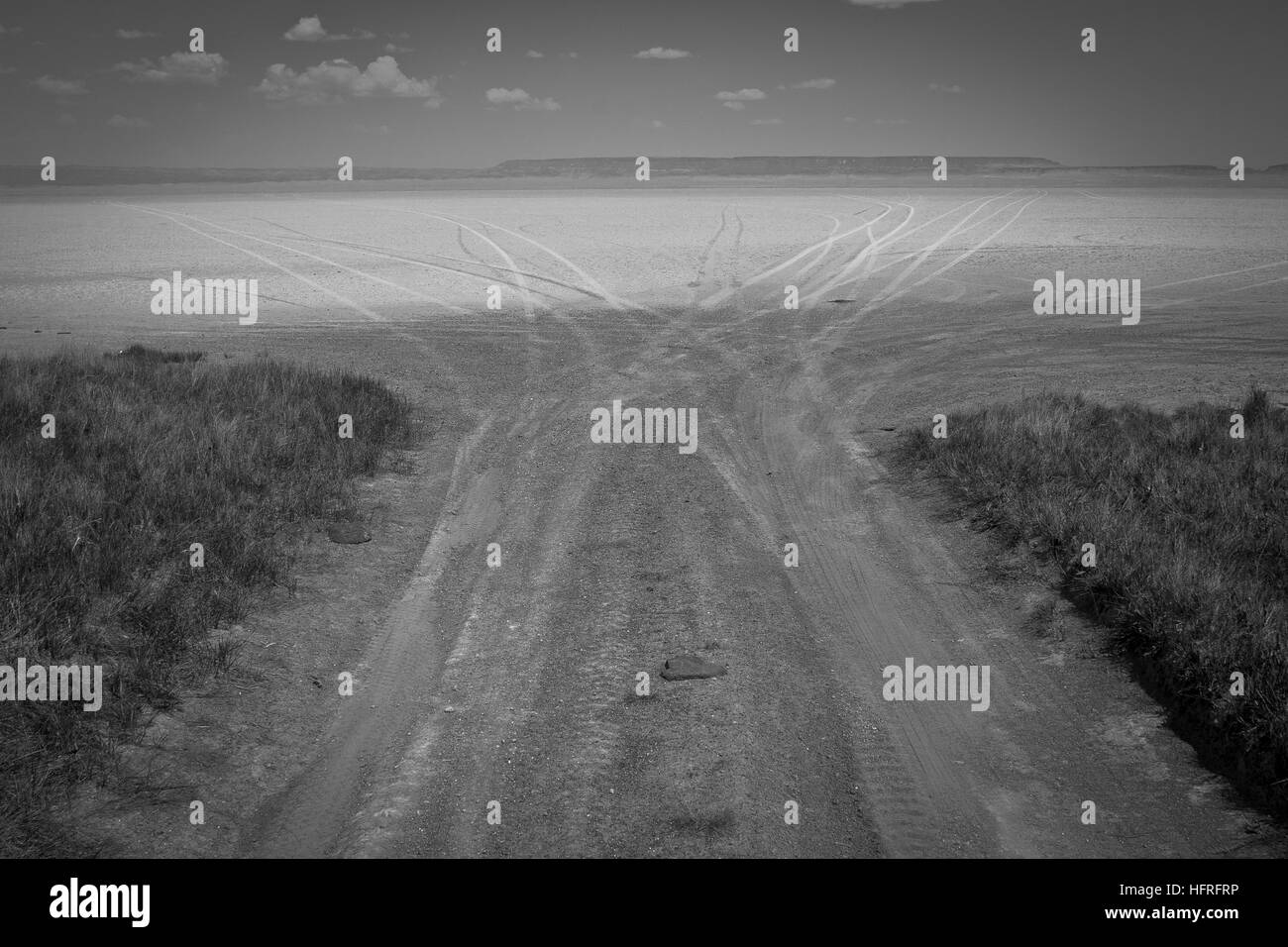 Une multitude de traces de plomb dans toutes les directions comme la route s'ouvre sur la vaste plage (lac à sec) de l'Alvord Desert. Banque D'Images