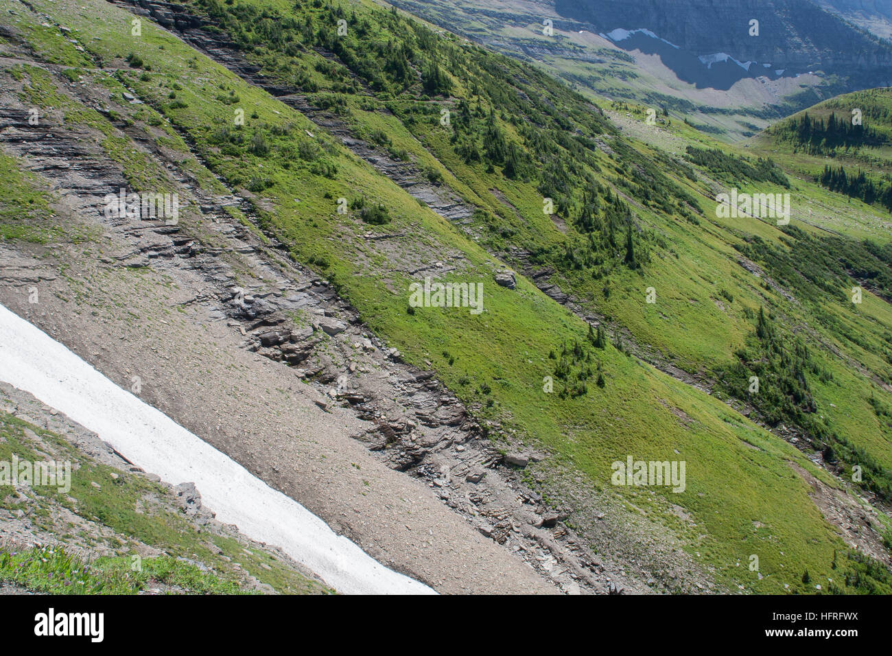 En pente raide prairie dans le Glacier National Park, Montana, USA. Banque D'Images