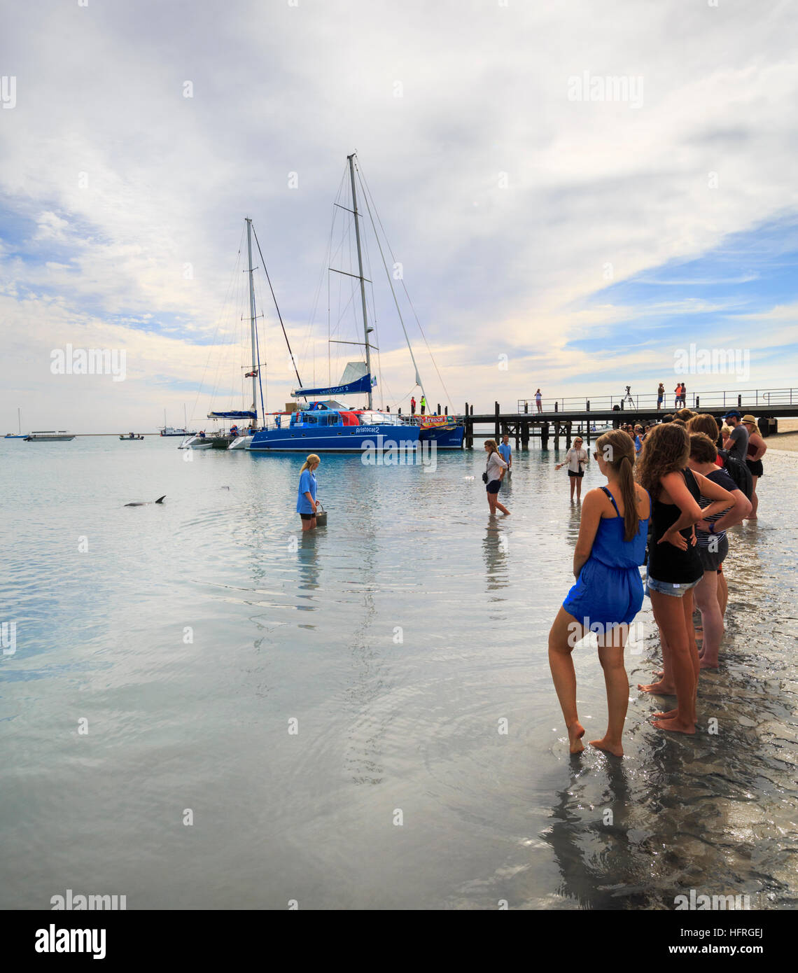 Les gens de la plage pour voir les dauphins à Monkey Mia. L'ouest de l'Australie Banque D'Images