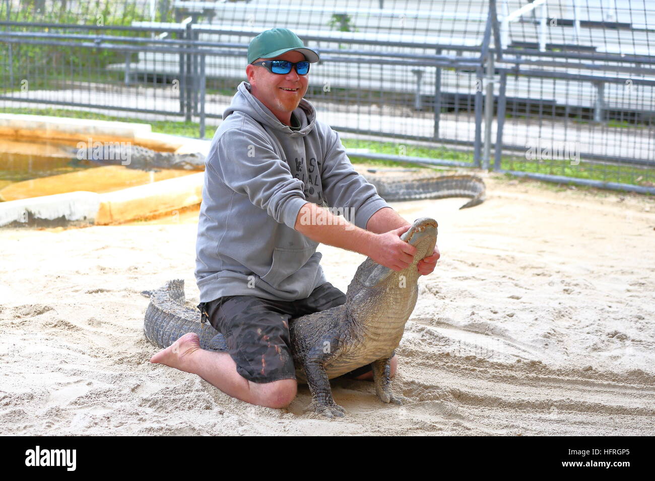 Un convoyeur à l'Everglades Alligator Farm en Floride montre ses compétences Banque D'Images Un convoyeur à l'Everglades Alligator Farm en Floride montre ses compétences Banque D'Images
