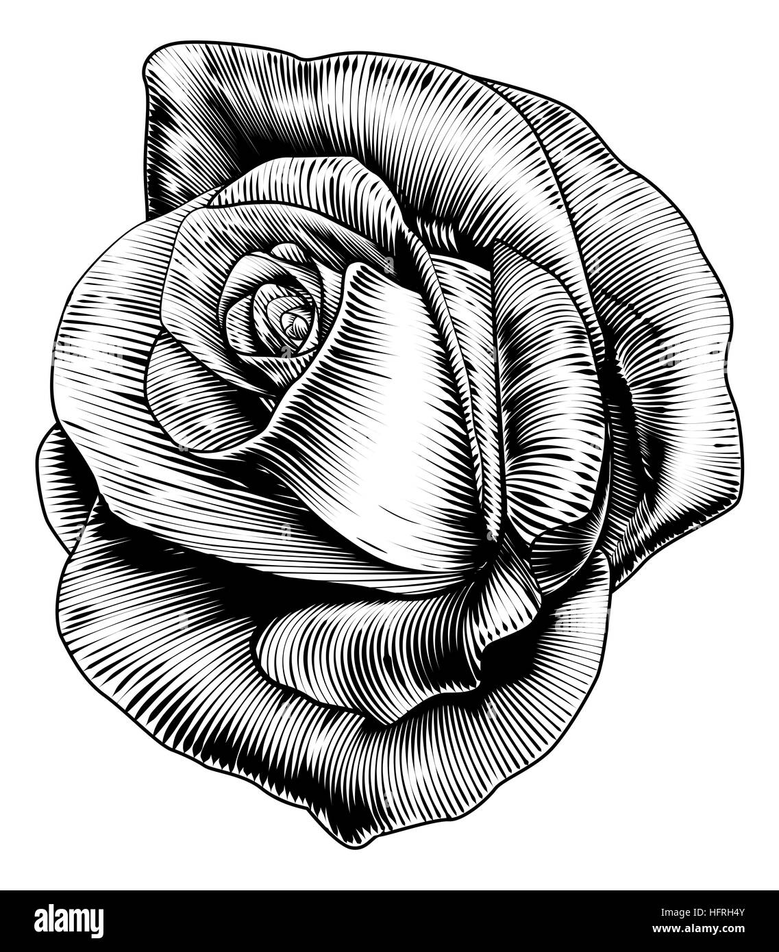 Une seule fleur dans un vintage retro style gravure gravure sur bois gravé Banque D'Images