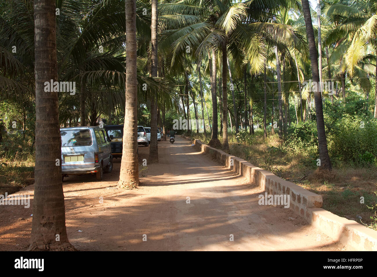 Pour la route d'Anjuna, plage dans le nord de Goa, Inde avec grands cocotiers Banque D'Images