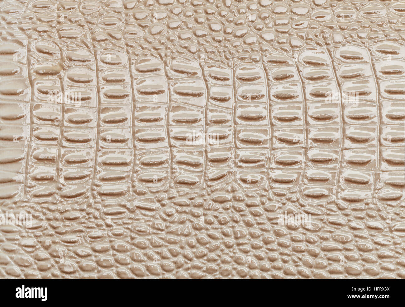 Cuir beige texture background libre. La peau d'un crocodile ou d'un serpent, Macro Banque D'Images