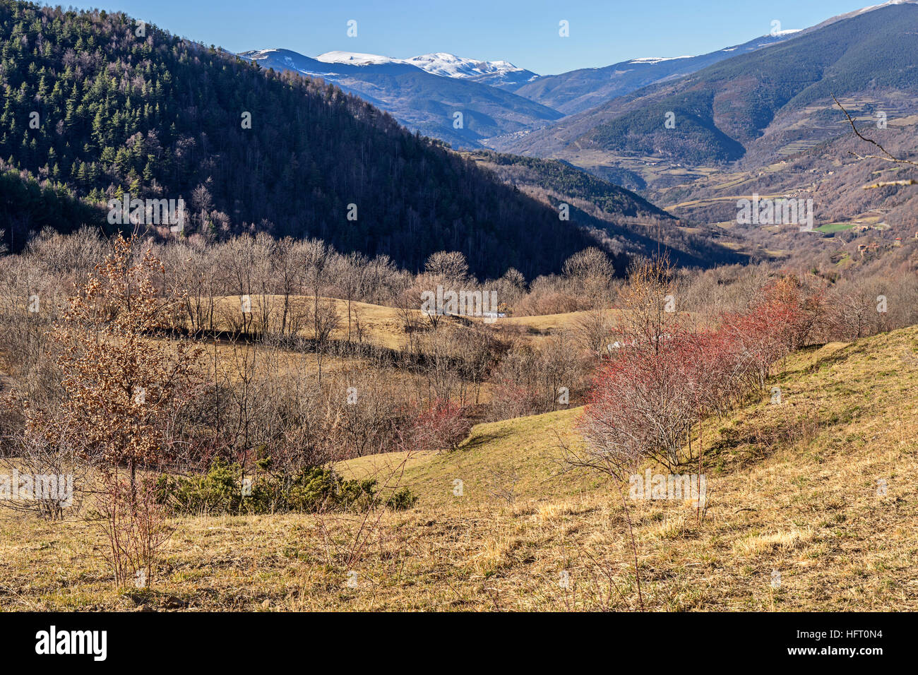 Beau paysage d'hiver dans la région de Vall de Ribes, Pyrénées Catalanes Banque D'Images