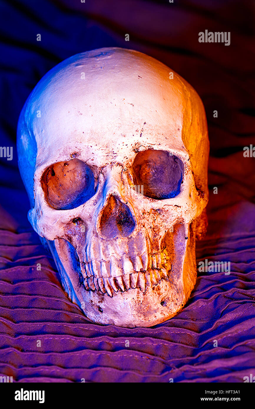 Crâne coloré Banque D'Images