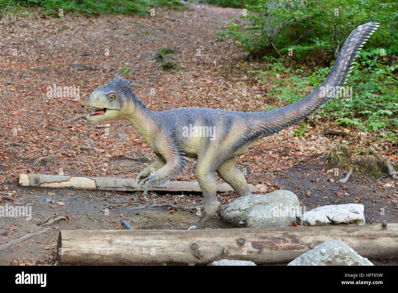 Modèle d'un dinosaure dans Dino Parc à Rasnov, Roumanie Banque D'Images
