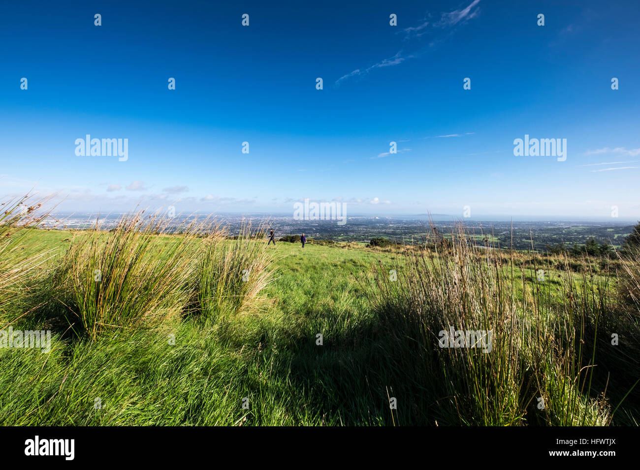 Colline herbeuse au Hellfire Club, Montpelier Hill, Tallaght, surplombant la ville de Dublin, Dublin, Irlande Banque D'Images