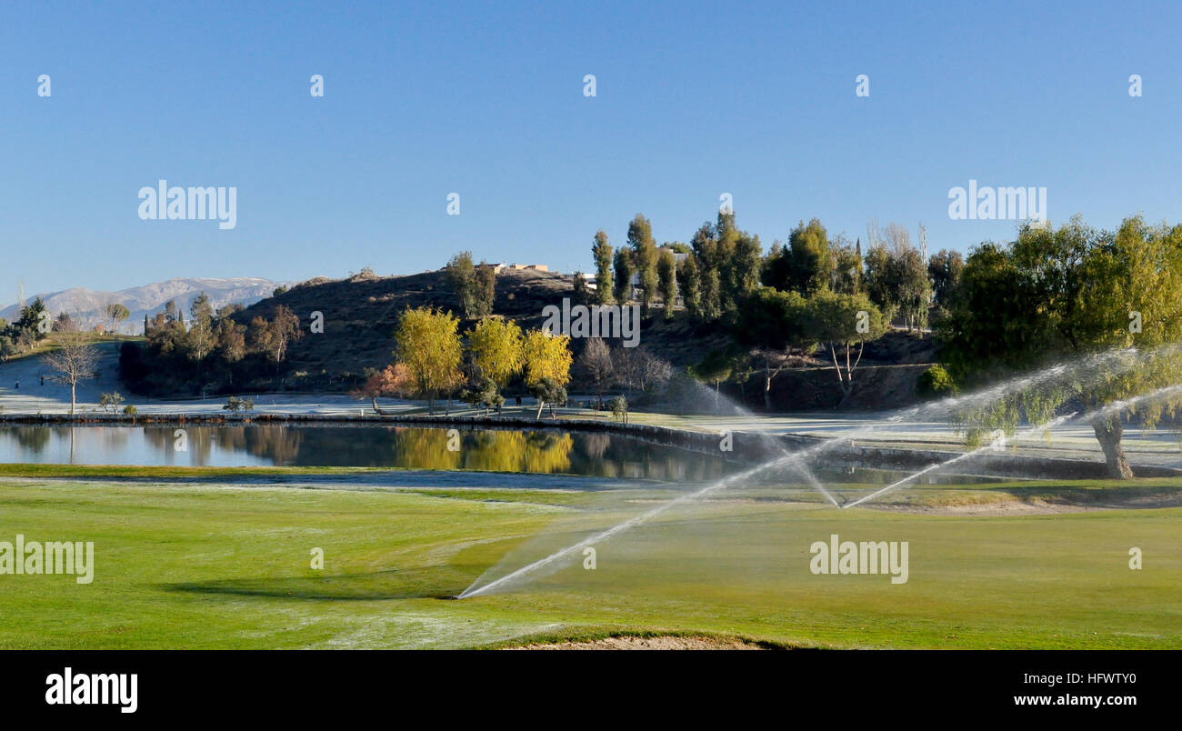 Arrosage arroseurs sur un terrain de golf Banque D'Images