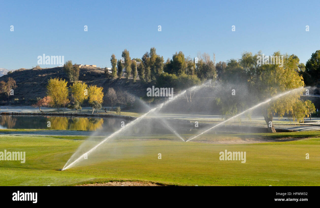 Arrosage arroseurs sur un terrain de golf Banque D'Images