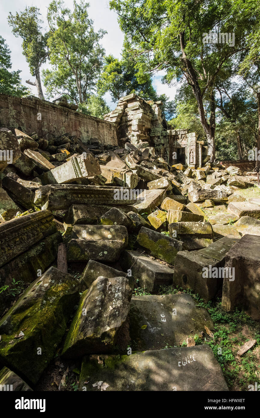 Trésors de l'ancienne Angkor dans les ruines du temple Ta Prohm Banque D'Images