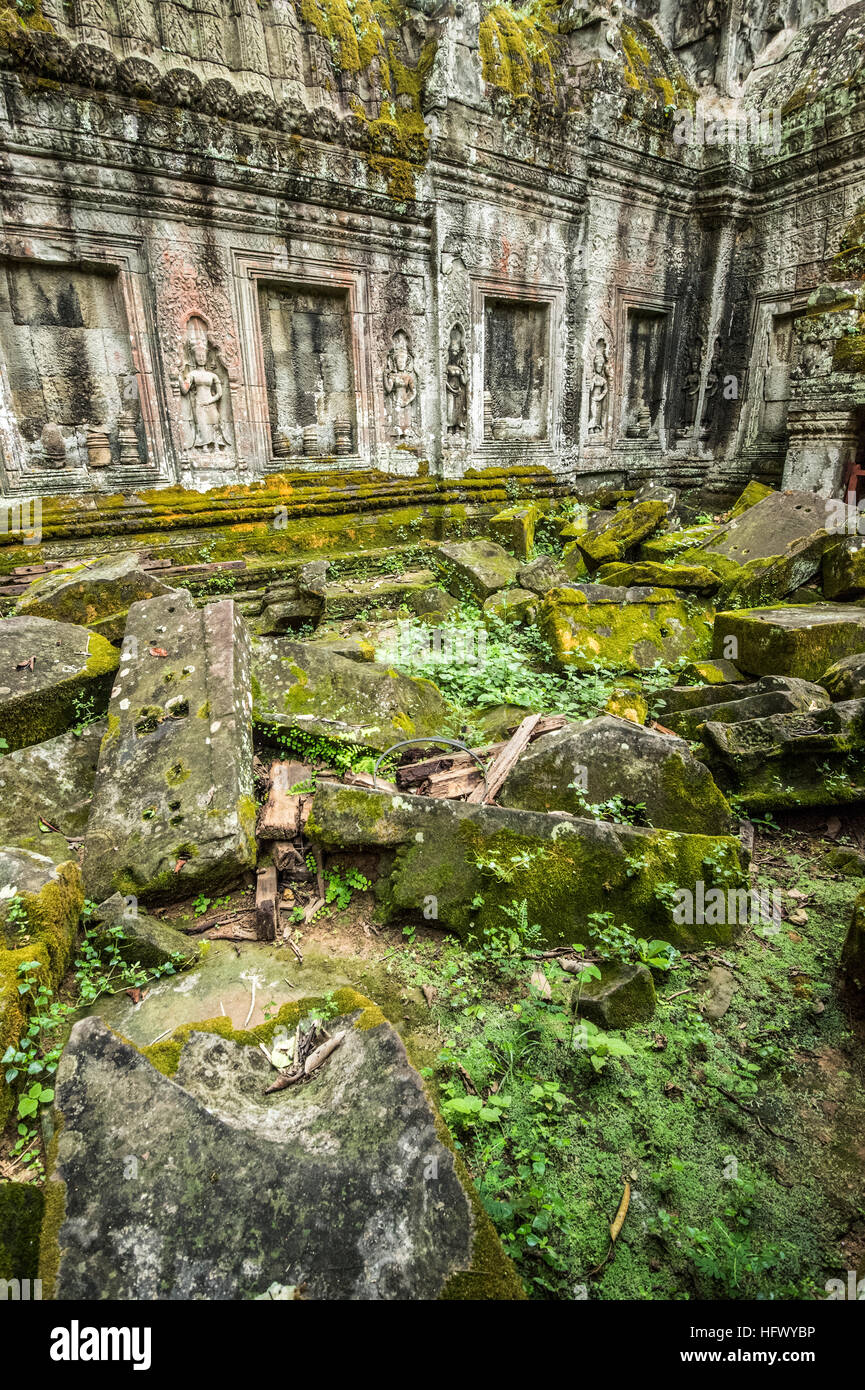 Trésors de l'ancienne Angkor dans les ruines du temple Ta Prohm Banque D'Images