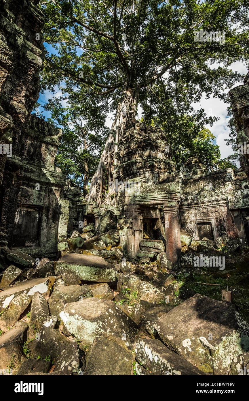 Trésors de l'ancienne Angkor dans les ruines du temple Ta Prohm Banque D'Images