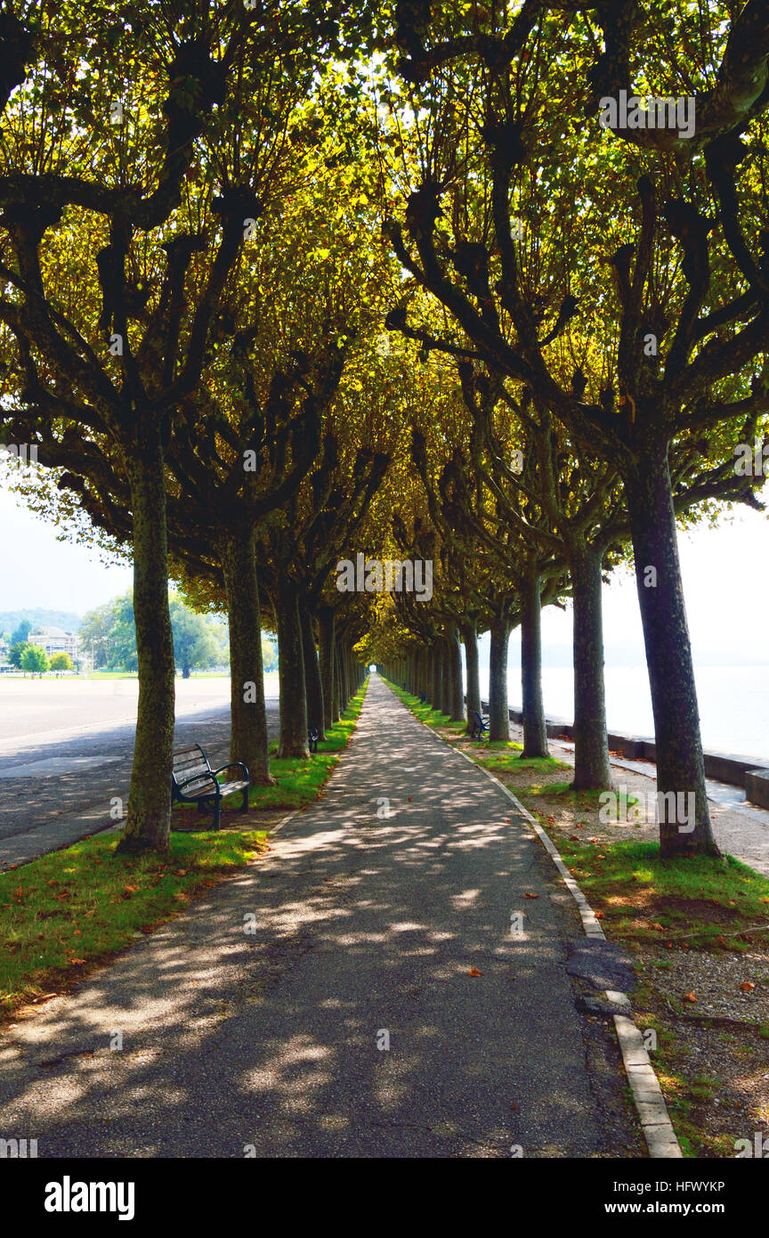 Chemin bordé d'arbres à Aix-les-Bains sur les rives du lac du Bourget Banque D'Images