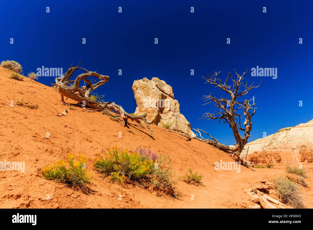 Hoodoos Redrock une vue inégalée en font l'un des sentiers les plus populaires dans l'état du bassin du parc. Banque D'Images