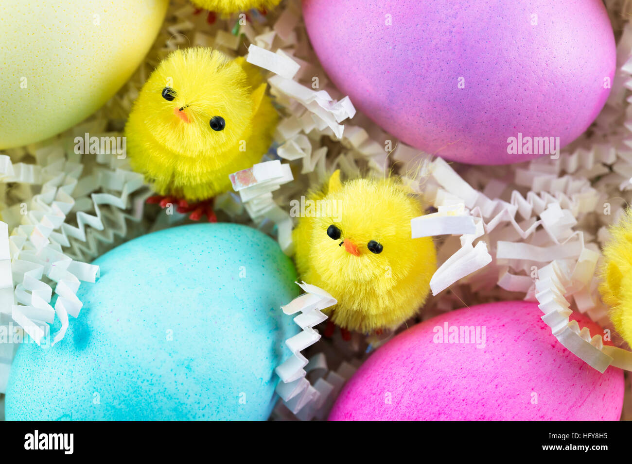Deux poussins en chenille et les oeufs de Pâques colorés. Banque D'Images