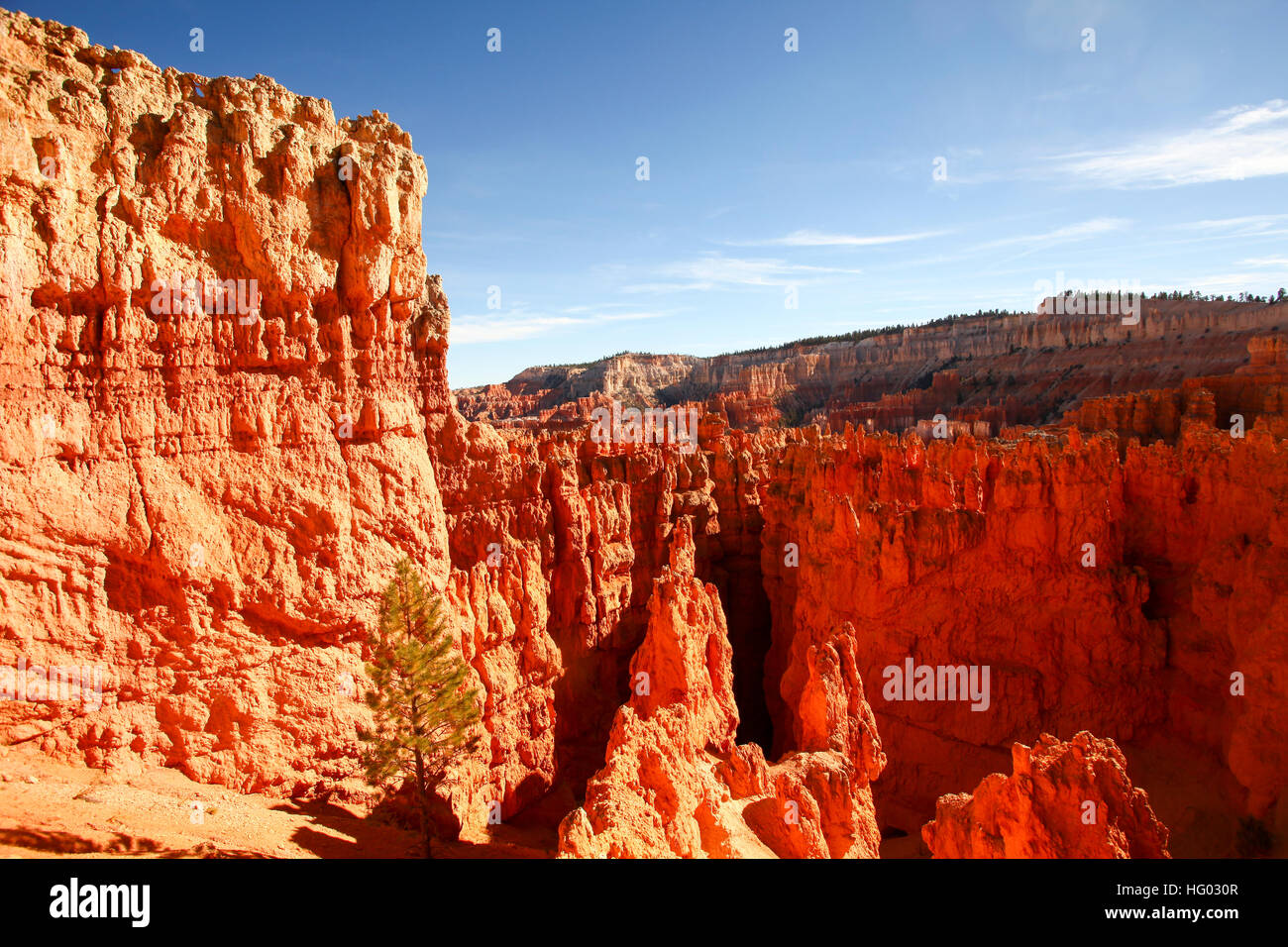 Bryce Canyon National Park, Utah, USA, Banque D'Images