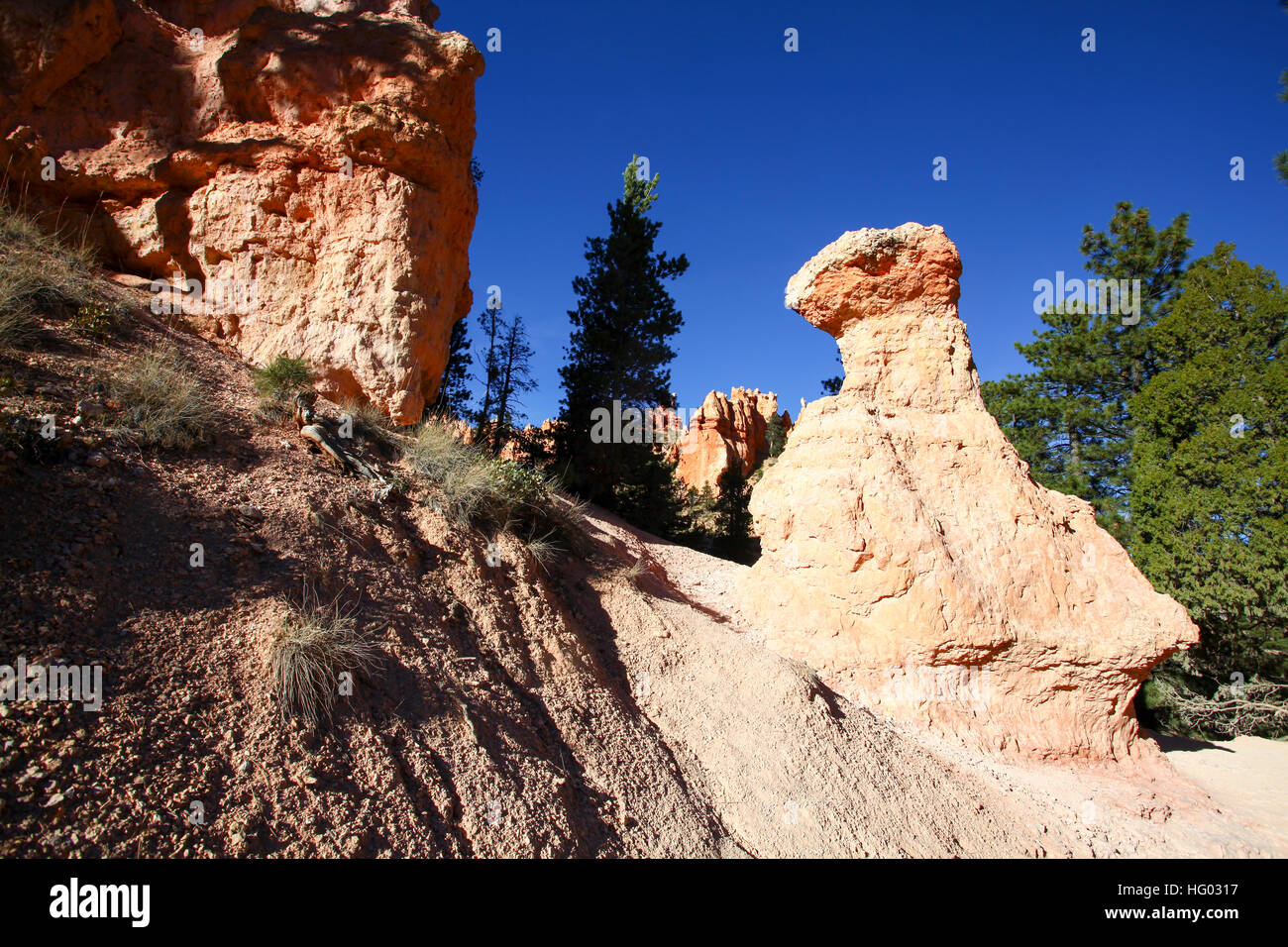 Bryce Canyon National Park, Utah, USA, Banque D'Images