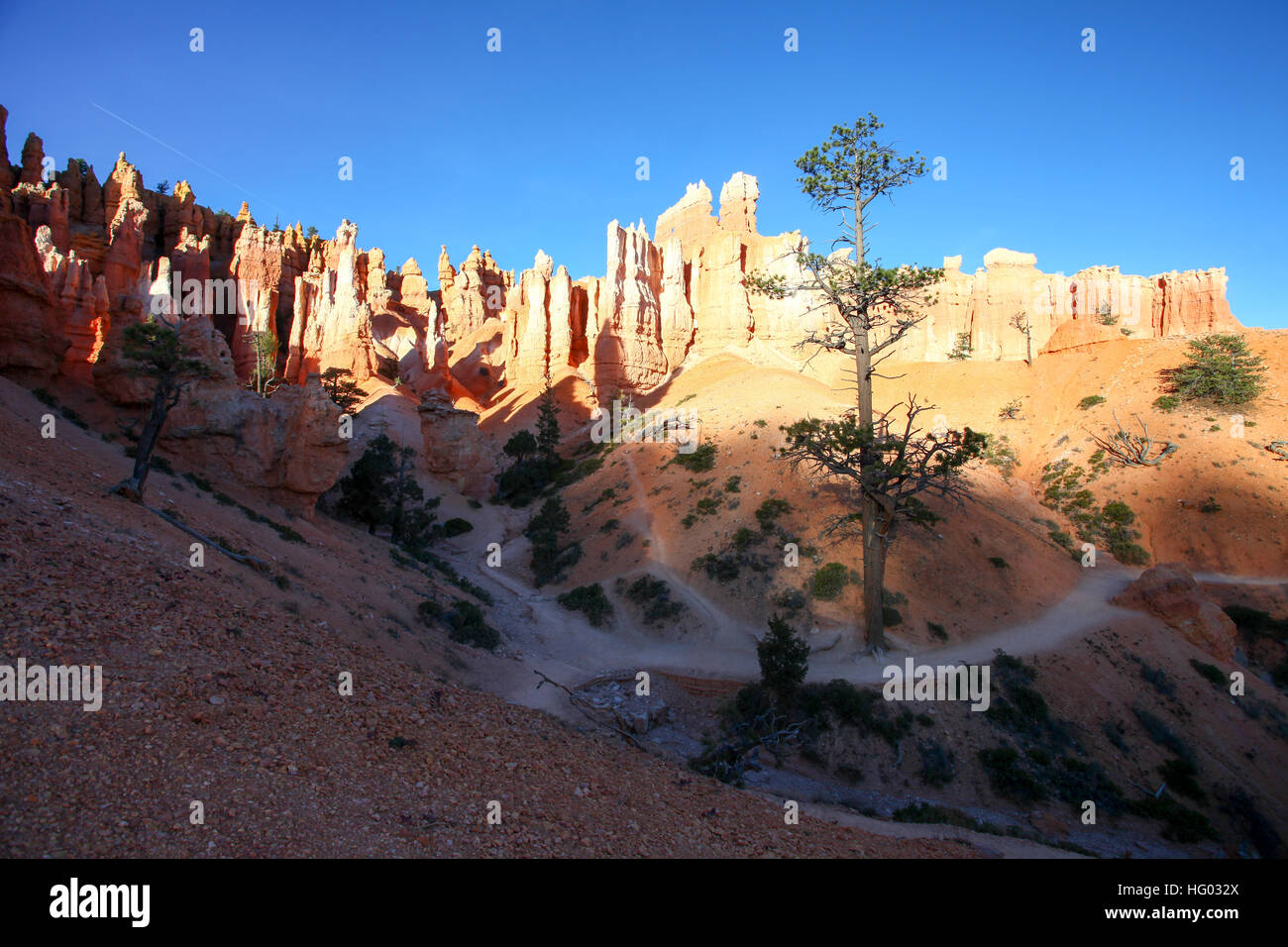 Bryce Canyon National Park, Utah, USA, Banque D'Images