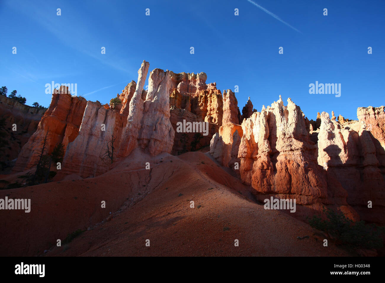 Bryce Canyon National Park, Utah, USA, Banque D'Images