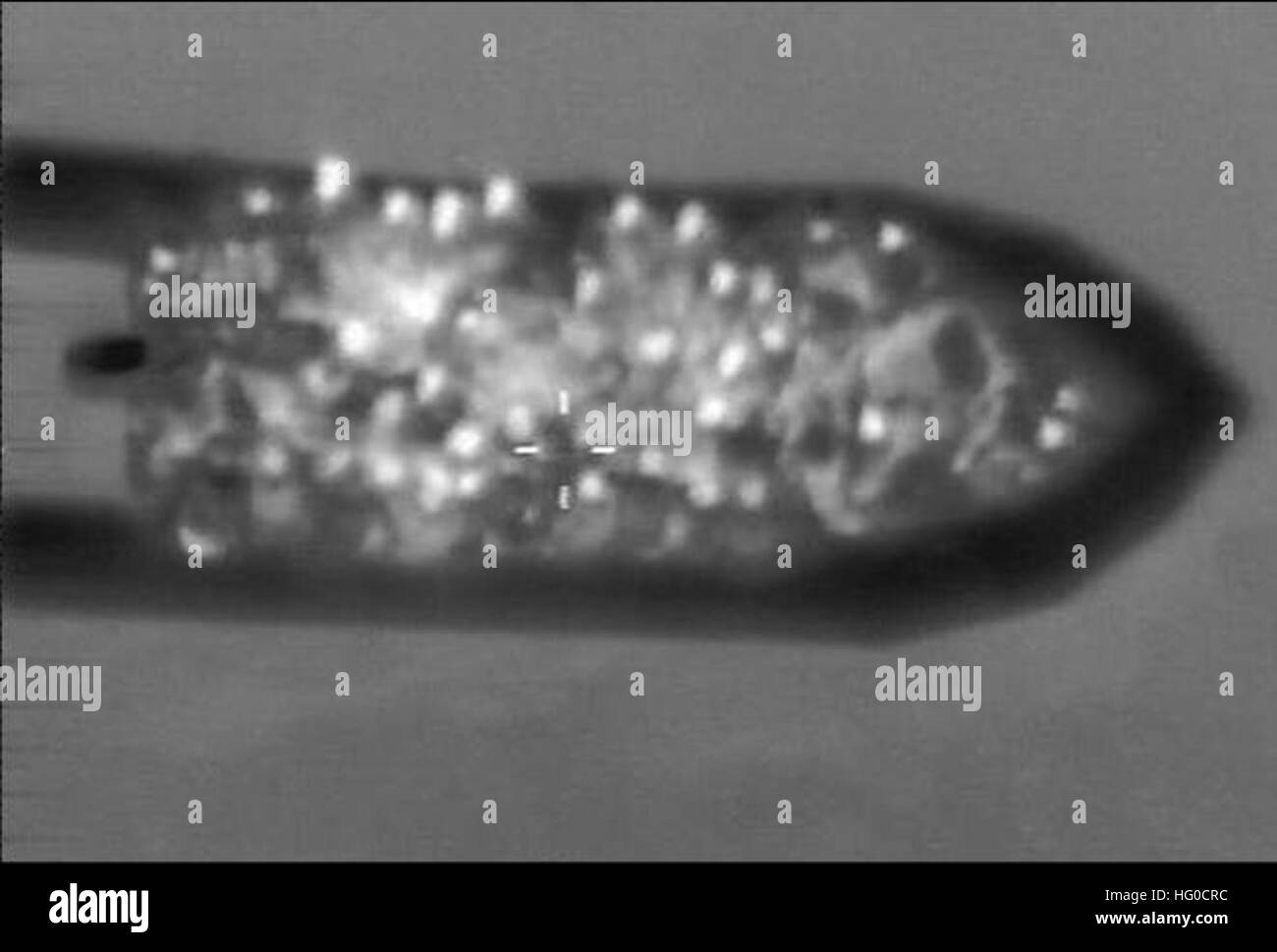 120115-N-ZZ999-002 NAPLES, ITALIE (janv. 15, 2012) l'équipage d'un Marine américain d'avions de patrouille maritime P3 affecté à l'Escadron de patrouille 47, opérant à partir de la base aéronavale de Sigonella, en Sicile, a aidé environ 68 migrants somaliens au large de la côte de Malte. Le P-C équipage fourni un kit 'AR' contenant de l'eau, la nourriture, et les torches ; communiquer avec les coordonnateurs de recherche et sauvetage maltais ; et salué les navires à proximité de prêter de l'aide supplémentaire.Le battant pavillon panaméen, M/V Vérone, a sauvé les 65 personnes, puis les ont remis à un patrouilleur maltais. (U.S. Photo/marine) Parution US Navy 120115-N-ZZ999-002 Somal Banque D'Images