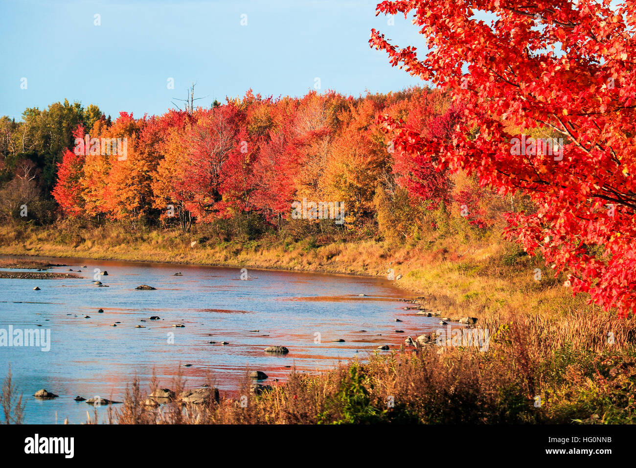 L'instant parfait en automne Banque D'Images