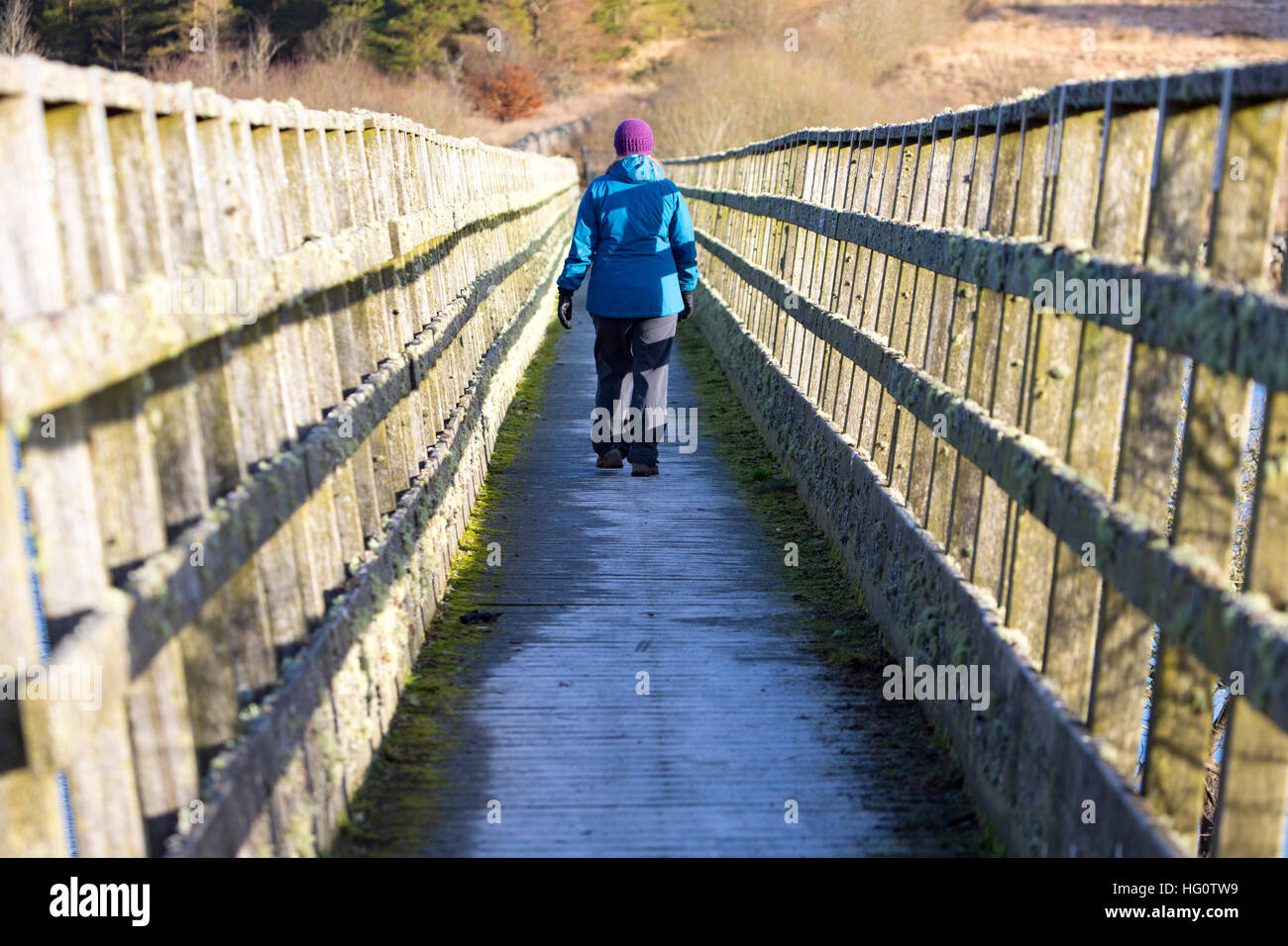 Femme walker crossing over bridge à Alwen réservoir, comté de Conwy, au nord du Pays de Galles Banque D'Images