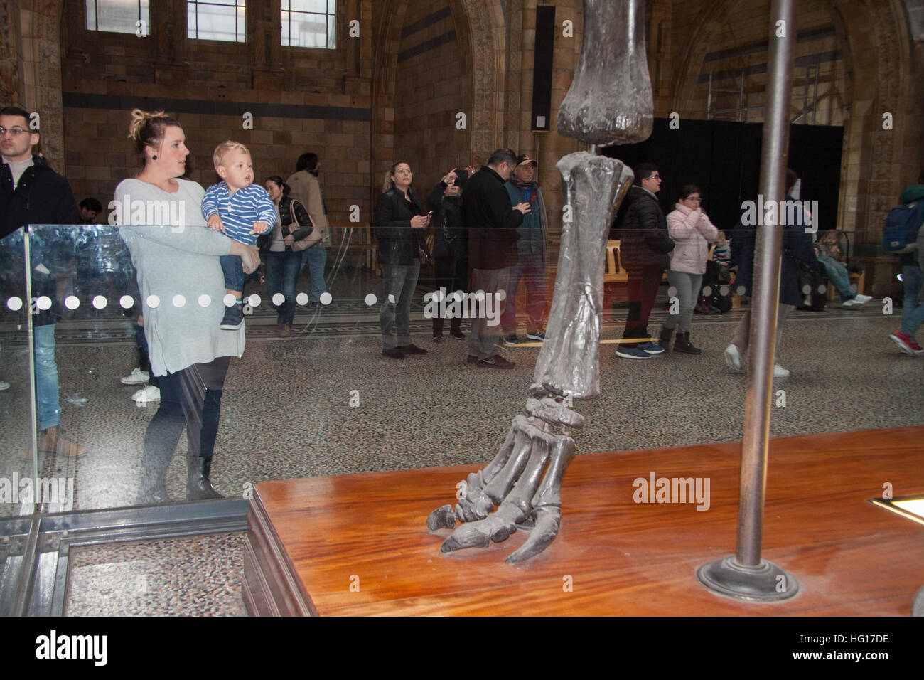 Londres, Royaume-Uni. 4 janvier, 2017. Une mère de famille au musée d'Histoire Naturelle voir dinosaure Diplodocus Fofolle le dernier jour avant le squelette de dinosaure est pris en bas et part en tournée autour de la Grande-Bretagne © amer ghazzal/Alamy Live News Banque D'Images