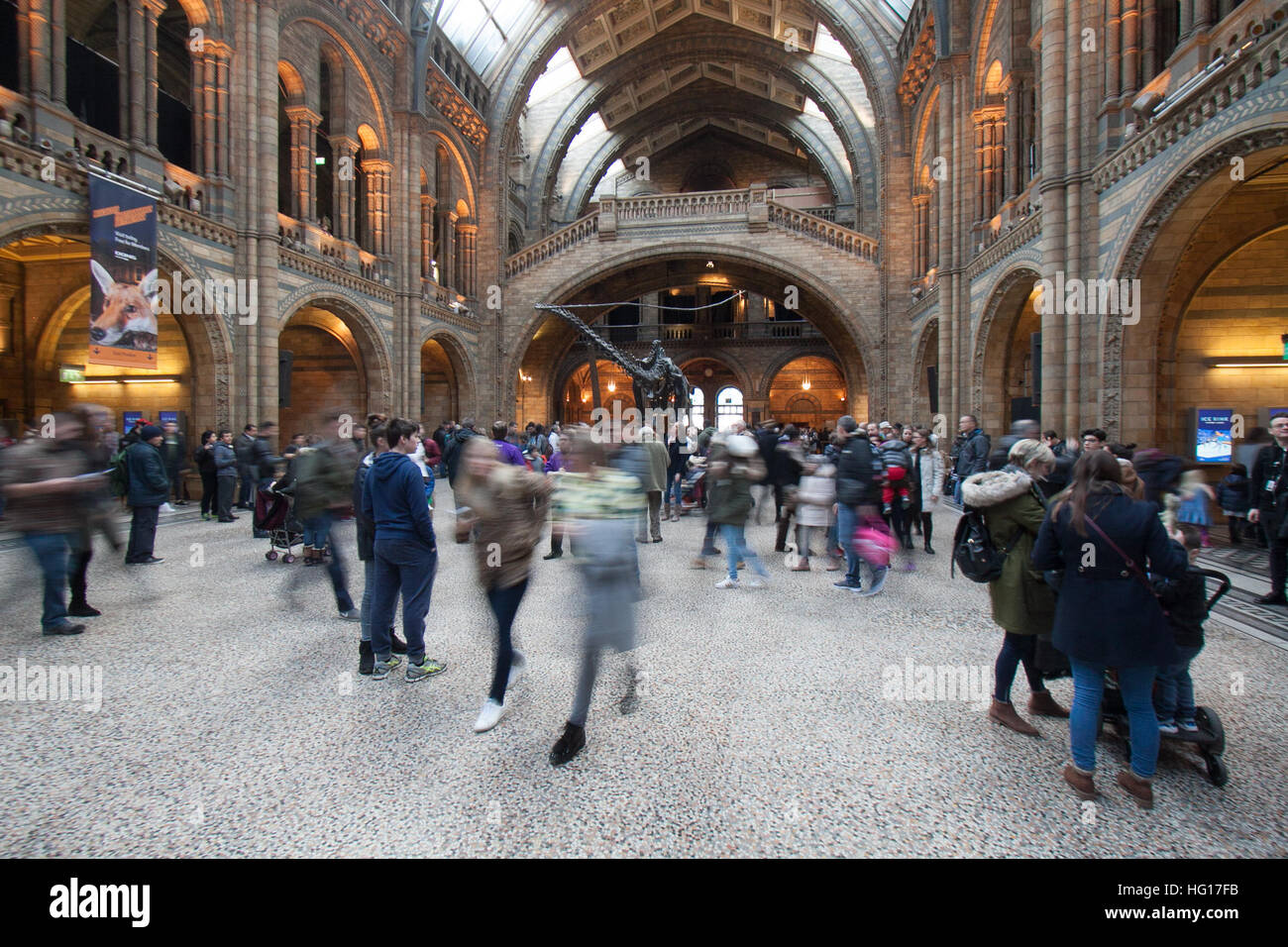 Londres, Royaume-Uni. 4 janvier, 2017. Les grandes foules au Musée d'Histoire Naturelle voir dinosaure Diplodocus Fofolle le dernier jour avant le squelette de dinosaure est pris en bas et part en tournée autour de la Grande-Bretagne © amer ghazzal/Alamy Live News Banque D'Images