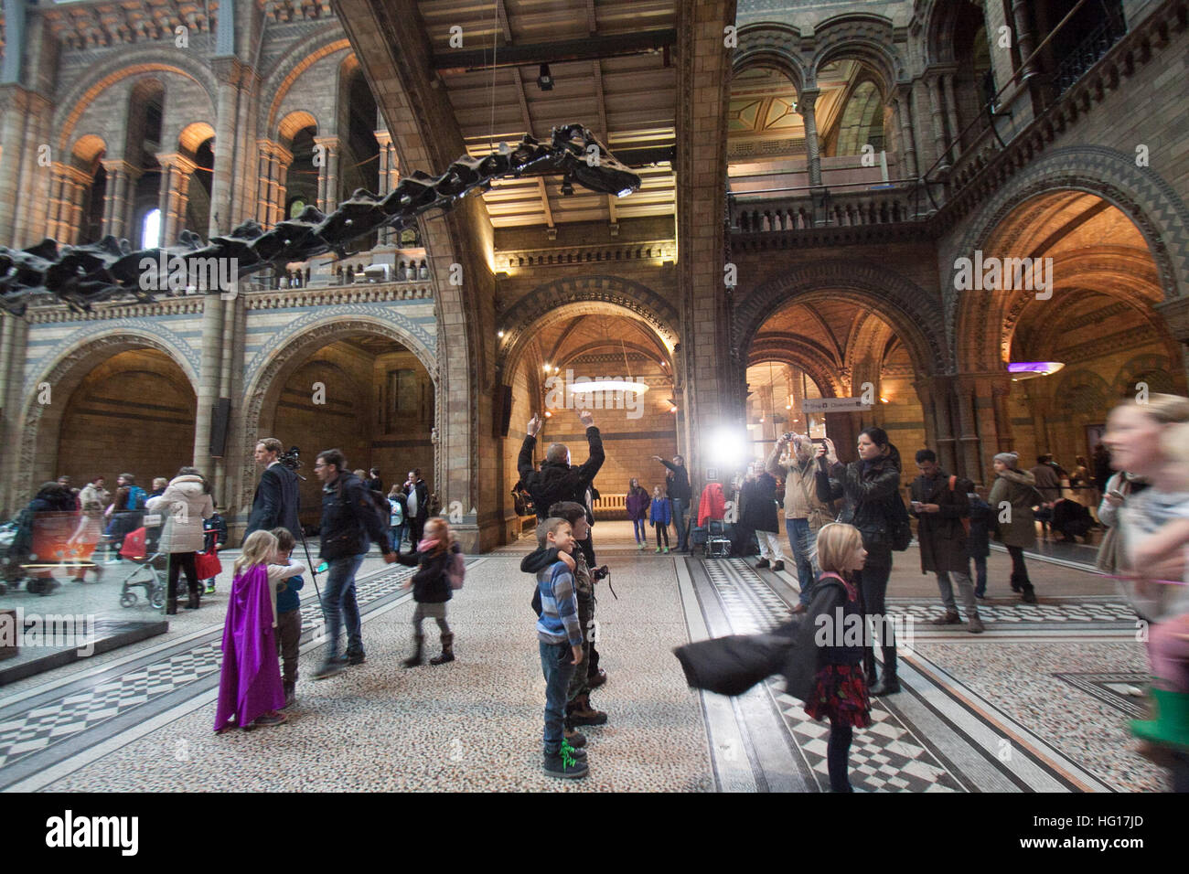 Londres, Royaume-Uni. 4 janvier, 2017. Les grandes foules au Musée d'Histoire Naturelle voir dinosaure Diplodocus Fofolle sur la dernière journée avant d'aller le squelette de dinosaure est pris en bas et part en tournée autour de la Grande-Bretagne © amer ghazzal/Alamy Live News Banque D'Images