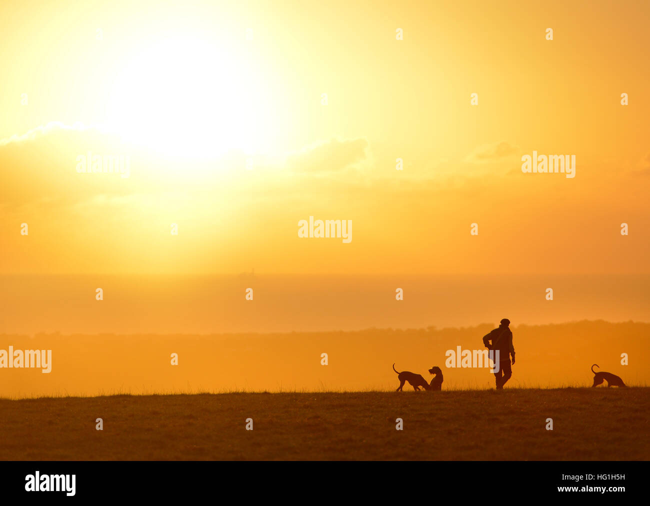 Pays gent en tweed avec trois chiens. Coucher du soleil sur les South Downs near Lewes Banque D'Images