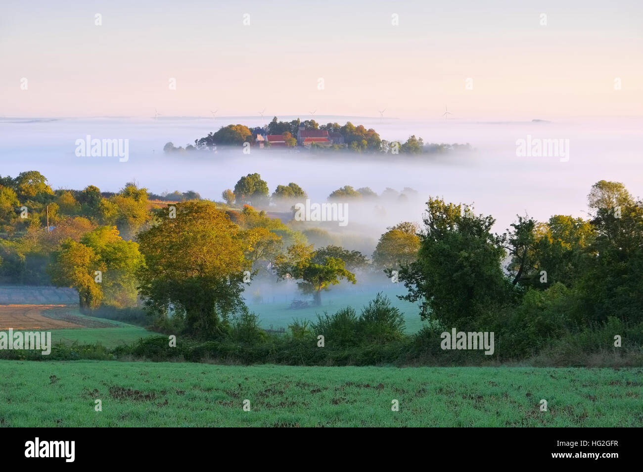 Burgund im Nebel - Bourgogne Paysage dans la brume du matin, France Banque D'Images