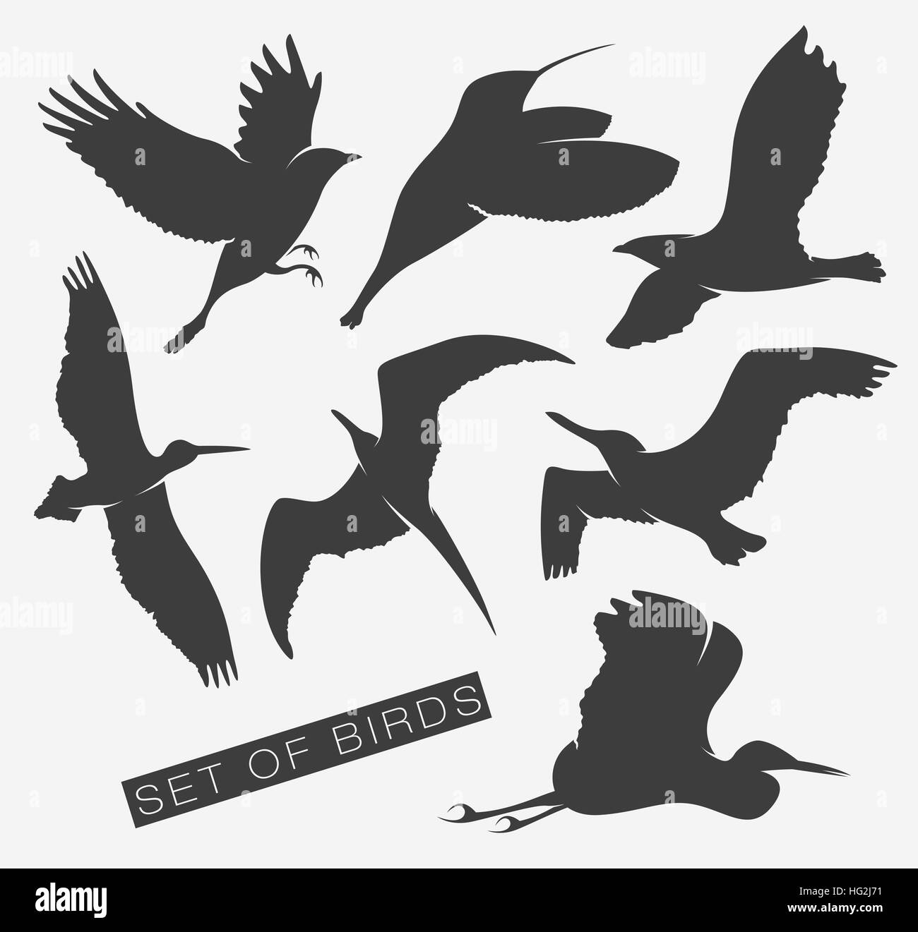 Jeu de silhouettes d'oiseaux Illustration de Vecteur