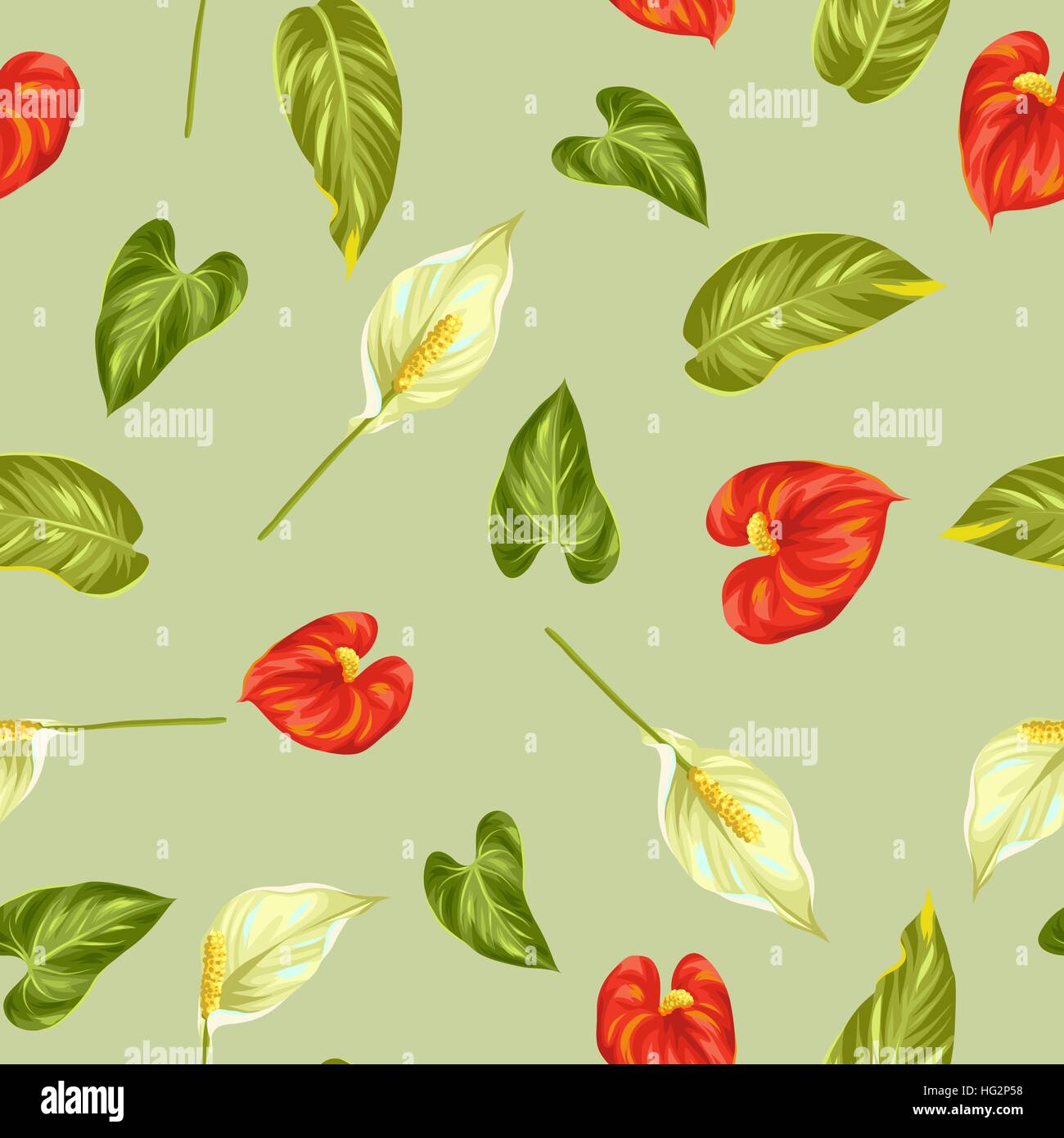 Modèle transparent avec des fleurs d'anthuriums et spathiphyllum Illustration de Vecteur