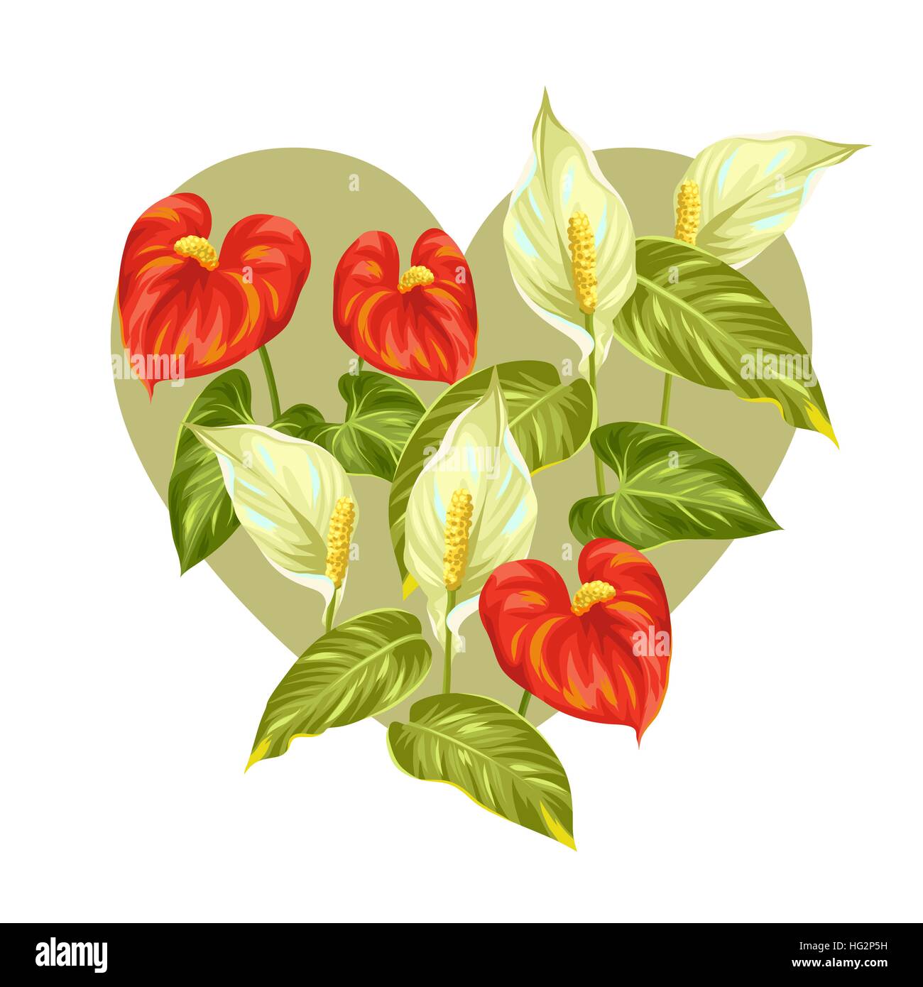 Carte de voeux avec des fleurs d'anthuriums et spathiphyllum Illustration de Vecteur