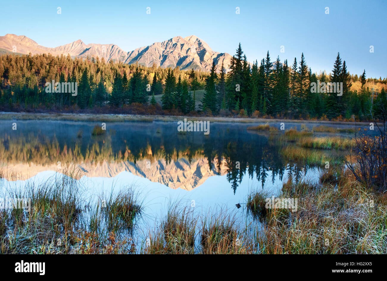 Pyramid Mountain reflètent dans l'étang de castors Jasper (Alberta) Banque D'Images