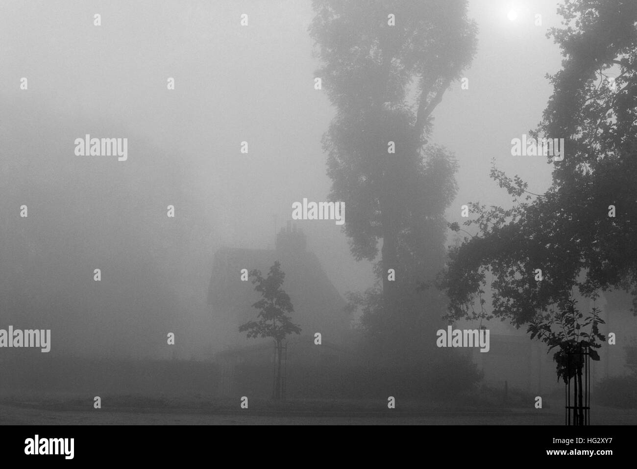 Un épais brouillard donnant une atmosphère éthérée enveloppant une rue urbaine england uk Banque D'Images