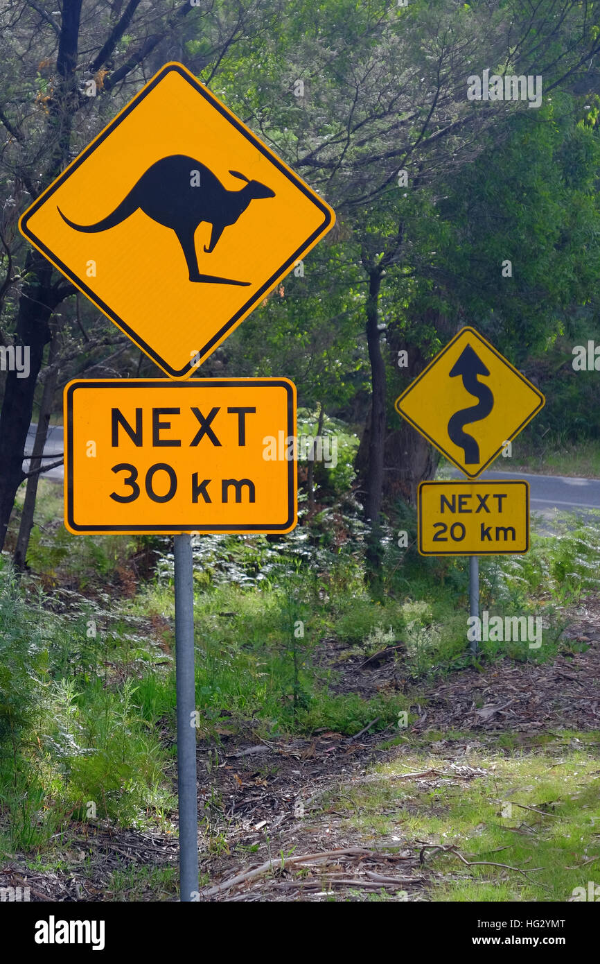 La signalisation routière de kangourous avertissement et de coudes, le Parc National des Grampians, Victoria, Australie Banque D'Images