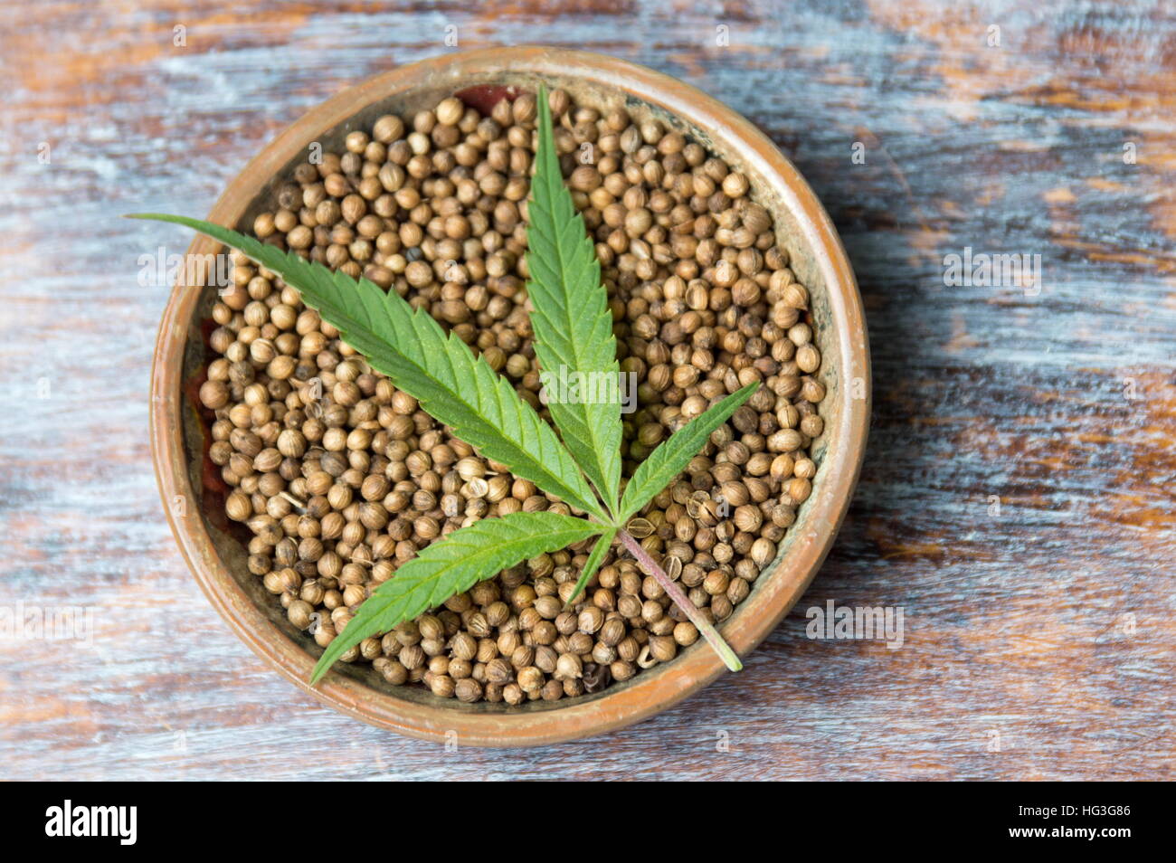 Usine de marijuana et de cannabis dans une assiette Banque D'Images