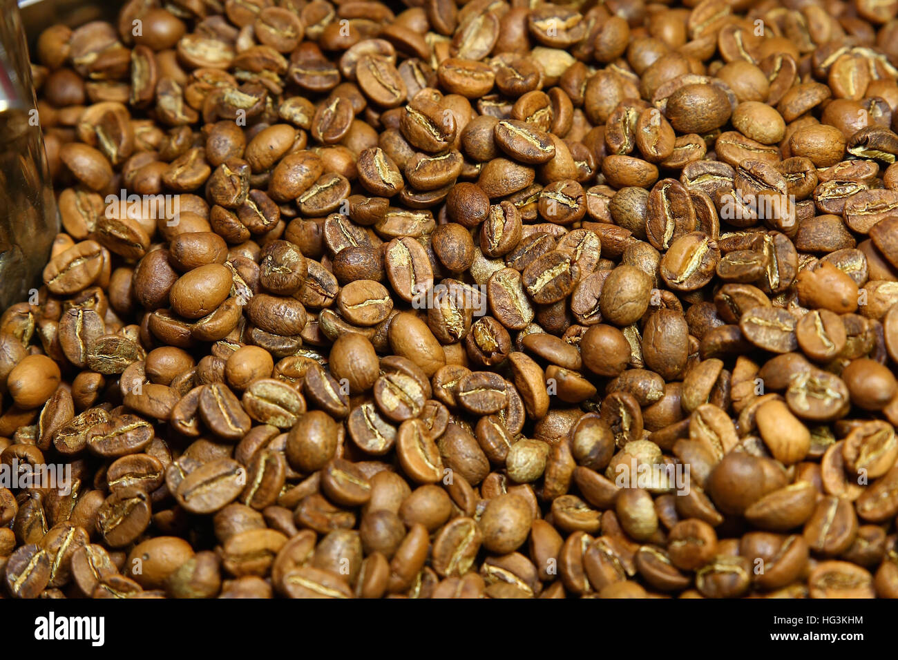 Les grains de café aromatiques fraîchement torréfié sur une machine moderne utilisé pour la cuisson des haricots Banque D'Images